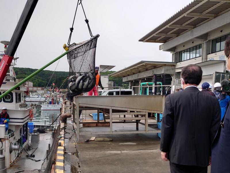 210527 ギンザケ今期初水揚げ (1).JPG