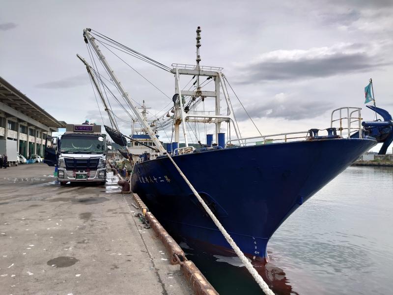 210706 イワシ水揚げ (3).JPG