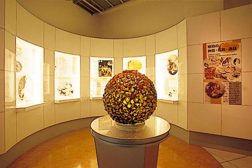 久慈琥珀博物館