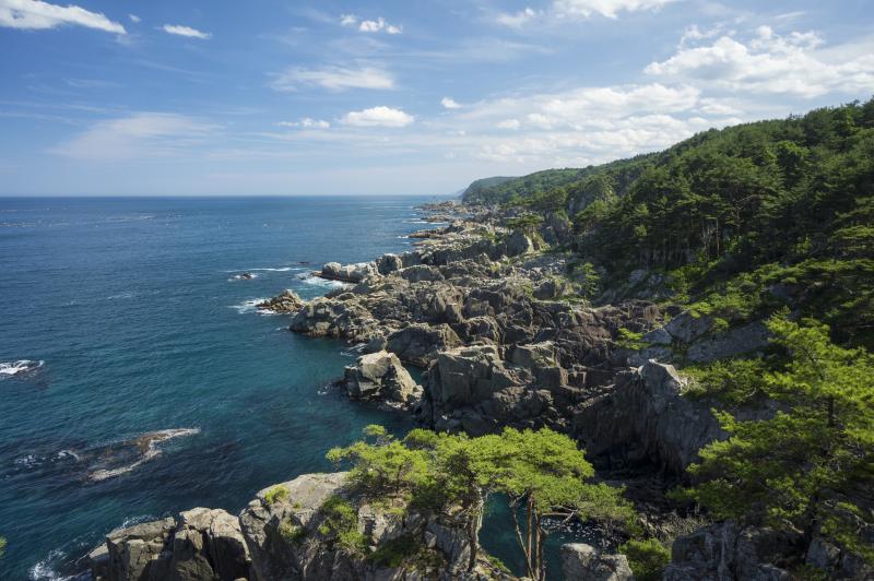 右側に岩肌と木々が生い茂り、左側には青い海、上には晴れた空が広がる写真