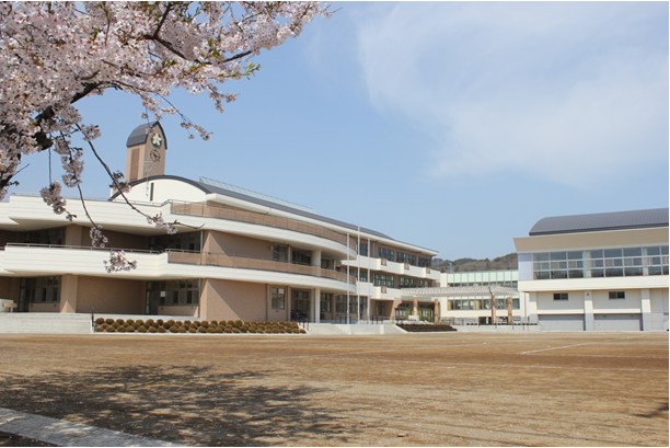 手前に咲く桜の奥に3階建ての校舎と体育館が見える写真