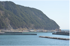 海と堤防の奥に木々で覆われた大きな陸地の見えている写真