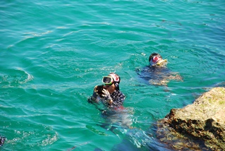 ゴーグルをした海女が海中から出てきている写真