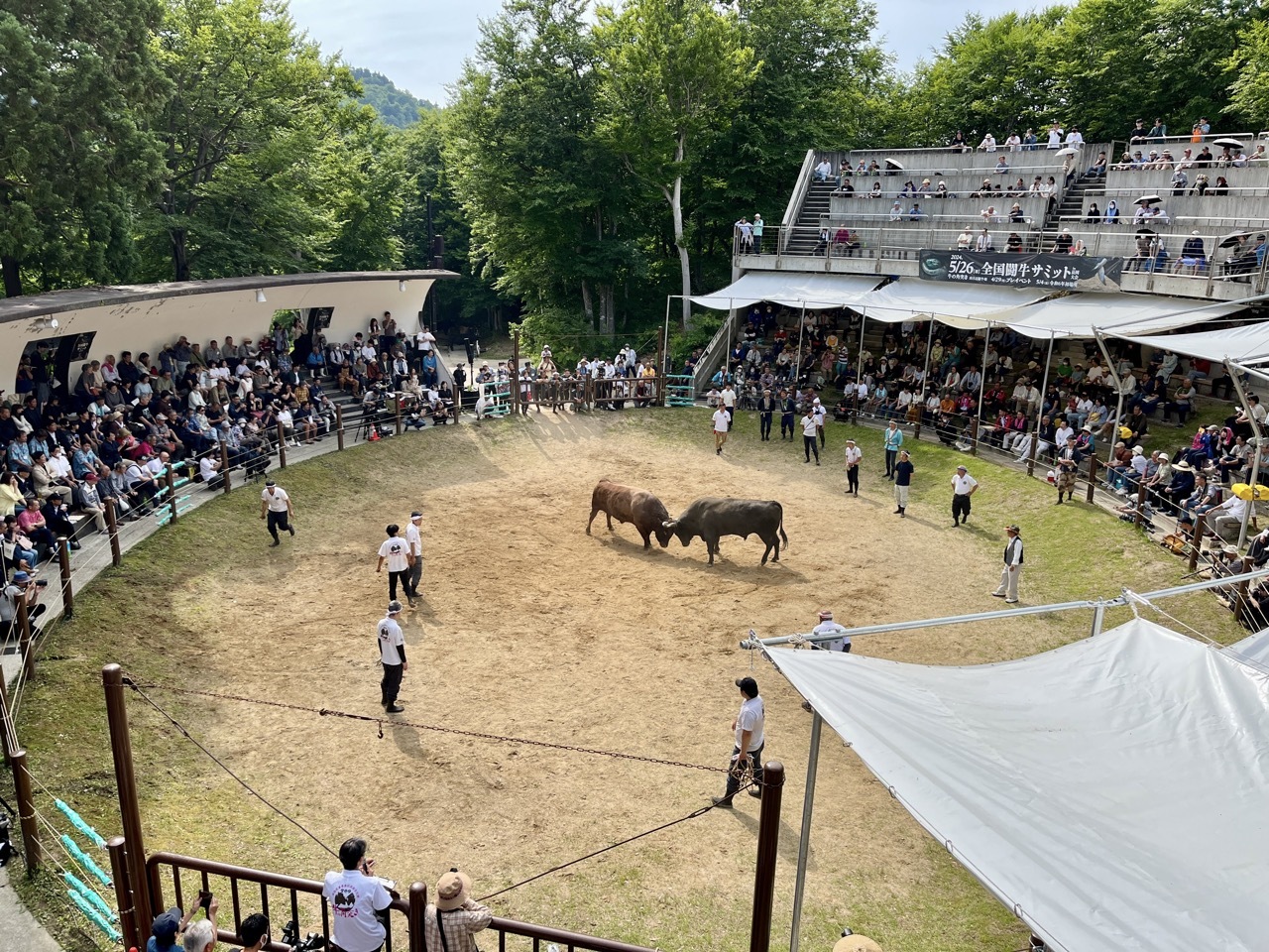 240525-27 naga10.JPEG