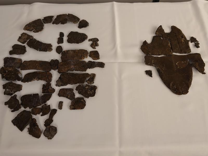 「アドクス・コハク」記者会見 (1).JPG