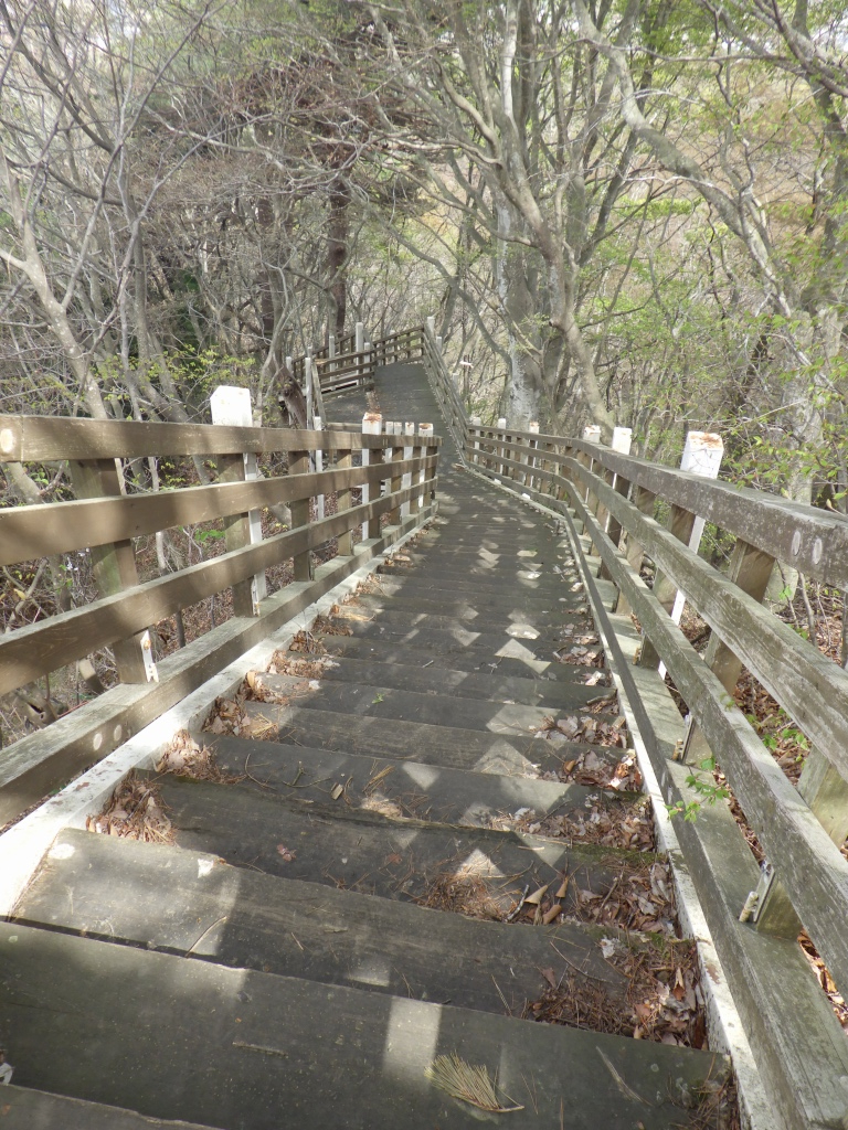 森の中にある長い下り階段の写真