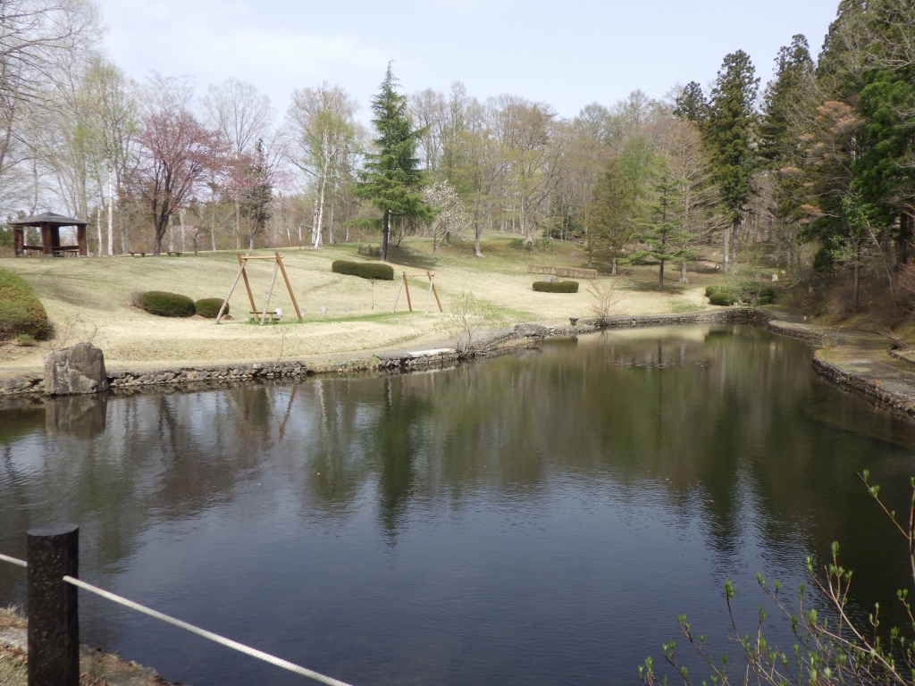 芝生の隣にある池の写真
