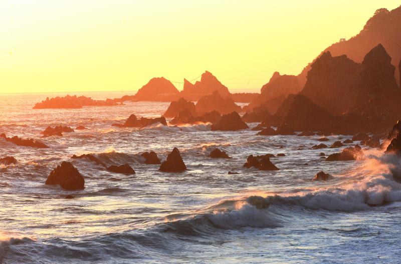 ゴツゴツとした岩が大量にある夕暮れの海の写真