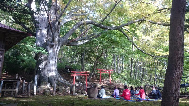大木の根元に複数ある鳥居の前に座っている人たちの写真