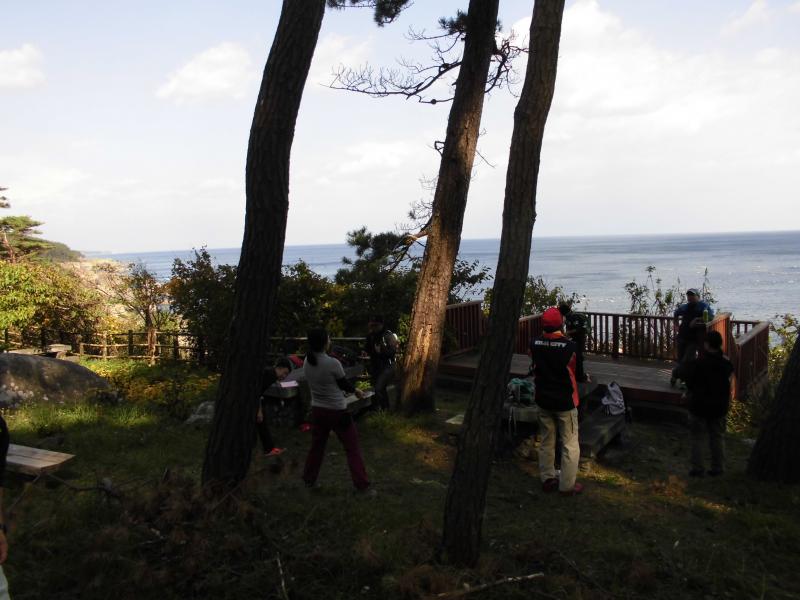日陰になった海沿いの広場に生えている3本の木の付近に人々がいる写真