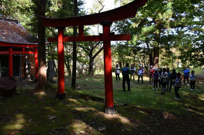 木々によって日陰となっている空間にある鳥居に人々が集まっている写真