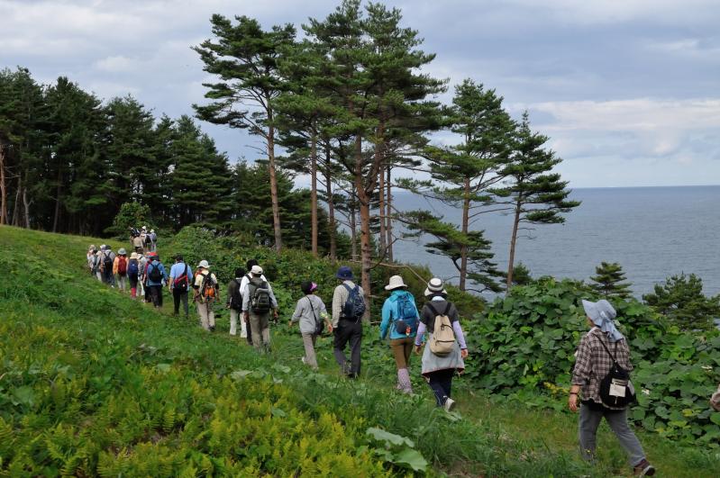 海の見える、緑が生い茂り奥には林のある道を歩く人たちの写真