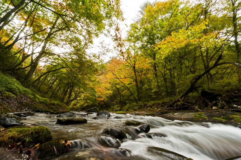 長内渓流・滝ダム湖