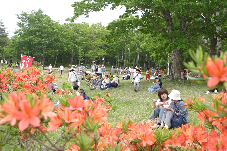 赤い花が大量に咲いた広場に多くの人が座っている写真