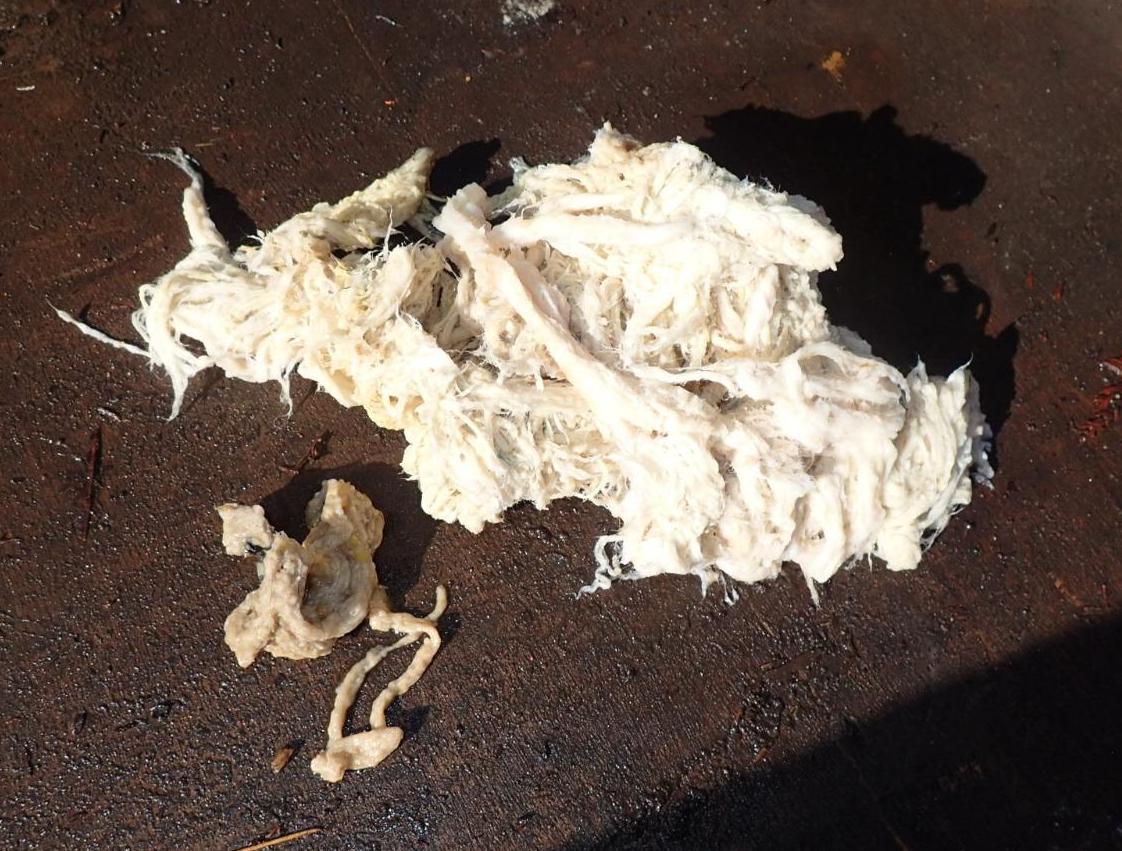 下水管に詰まっていた繊維類