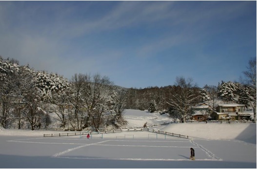 一面の雪景色の、葉の落ちた木々とその前の開けた場所の写真