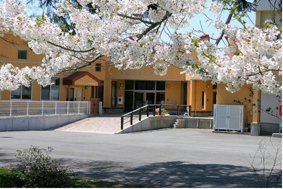 桜の花の奥にオレンジ色の外壁の校舎が見えている写真