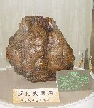 金色の岩が丸型のスペースの中に展示されている写真