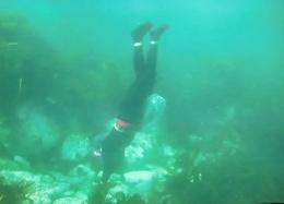 軽装備の人が海の底に潜り地面に頭を向けている写真