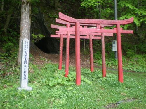 奥に洞窟がある手前に赤色の鳥居が3つ縦に並んで設置されている写真