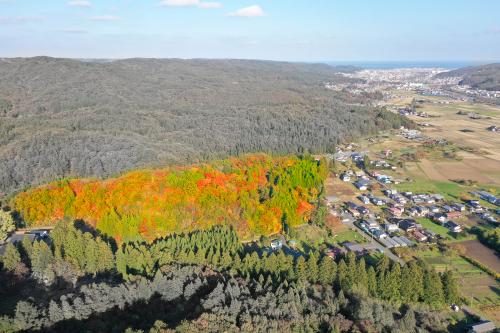 町の隣に広がっている一部の木々のみが色鮮やかな写真
