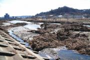折れた木や泥が多く浮いた川の写真