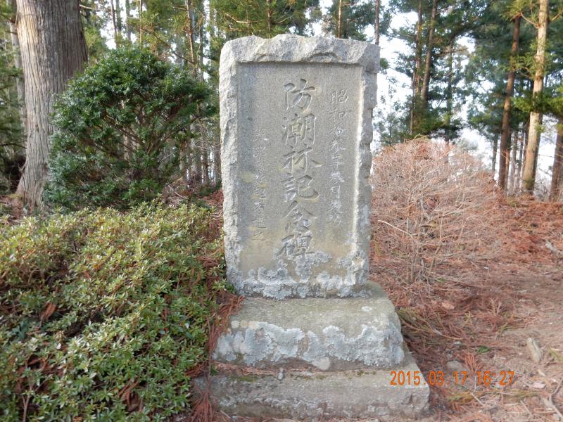 緑色の葉の低木や赤茶色の葉の低木が周りに植えられた長方形の石碑の写真